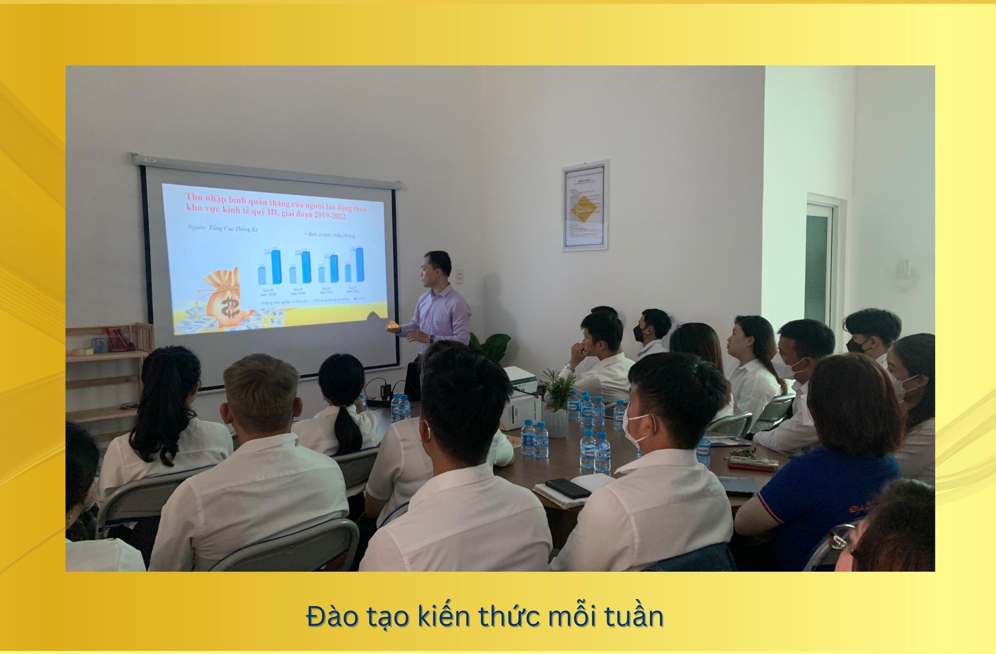 lĩnh vực hoạt động